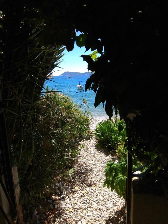 Beach House Gusla コミジャ エクステリア 写真